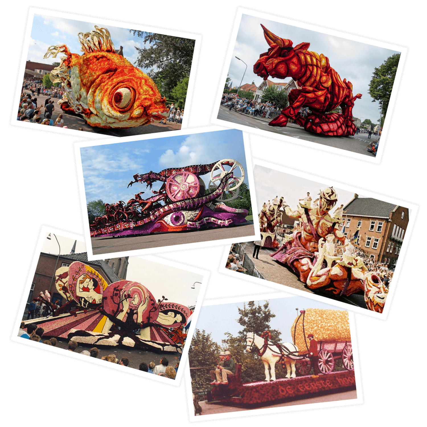 Hooiland collage historie