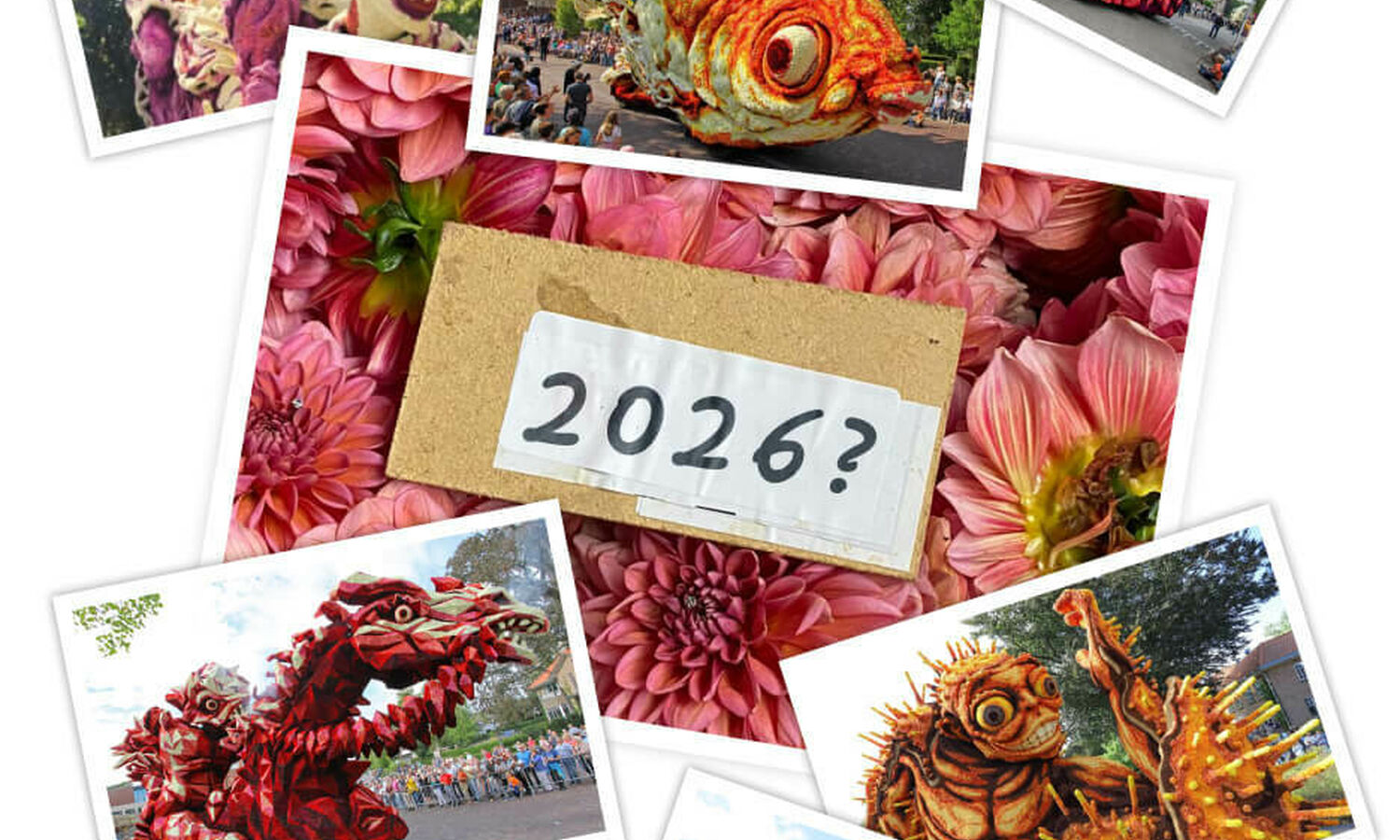 Ontwerper gezocht 2026