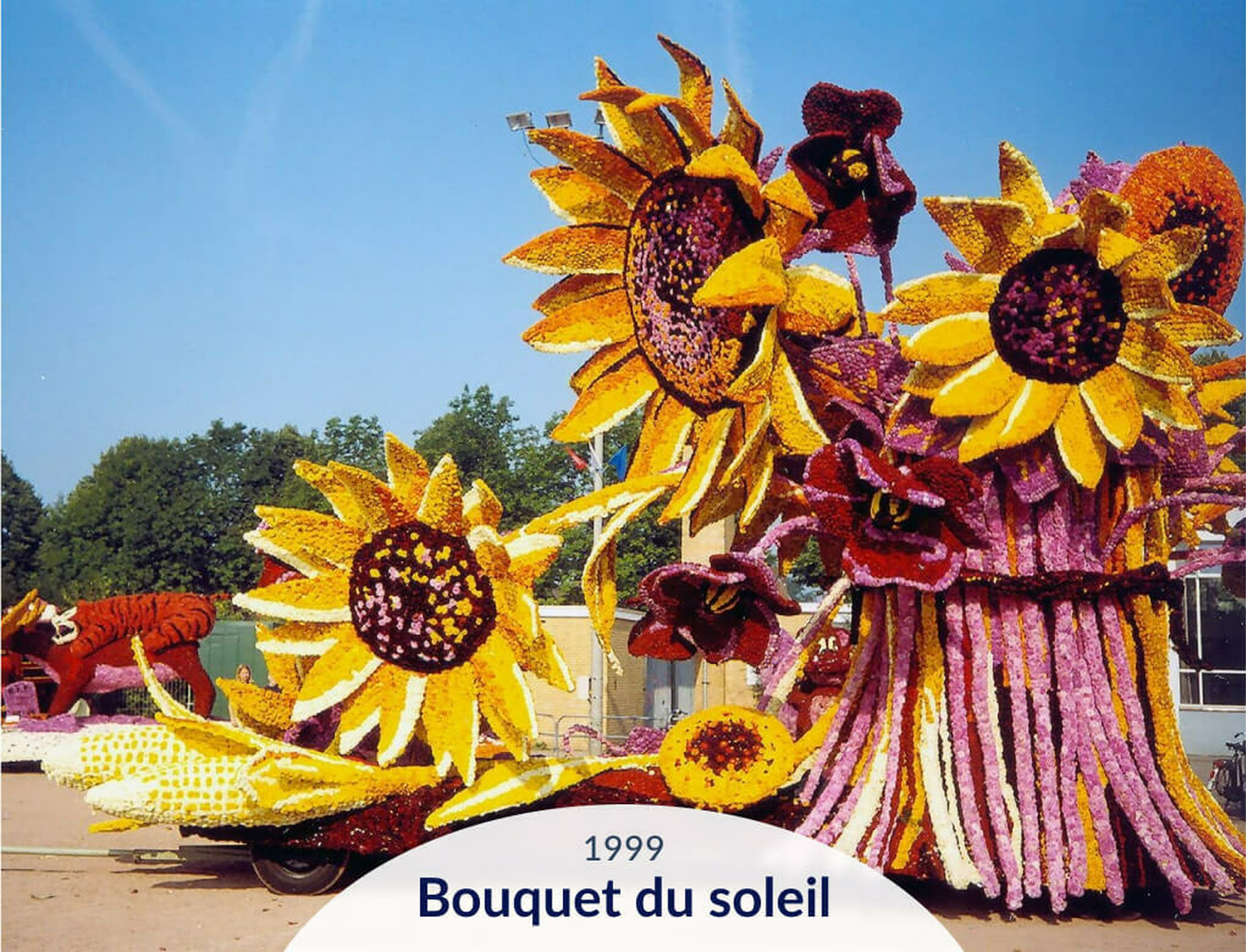 Hooiland carrousel card 18